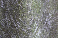 Airdtorrisdale fibreglass roof work